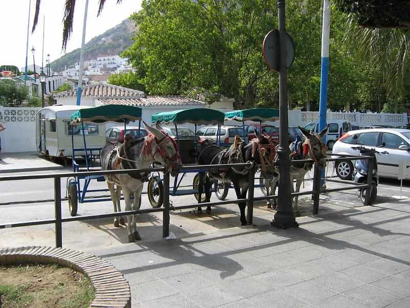 Spanje Estepona 182